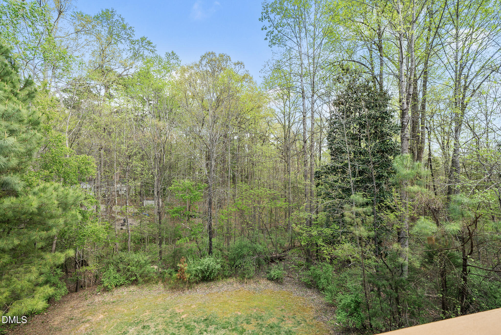 717 Magnolia Forest Court