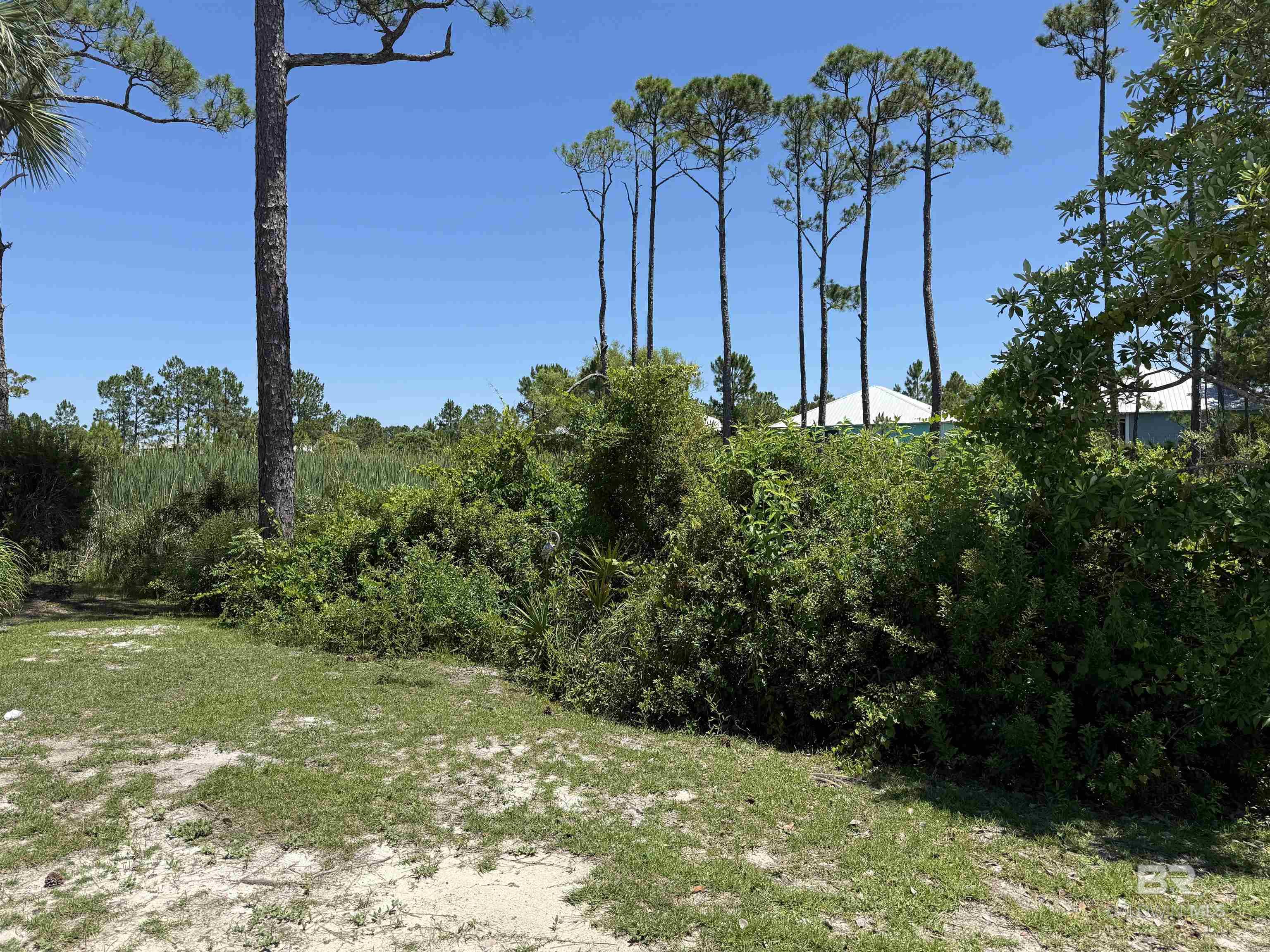 5781 State Highway 180 6006