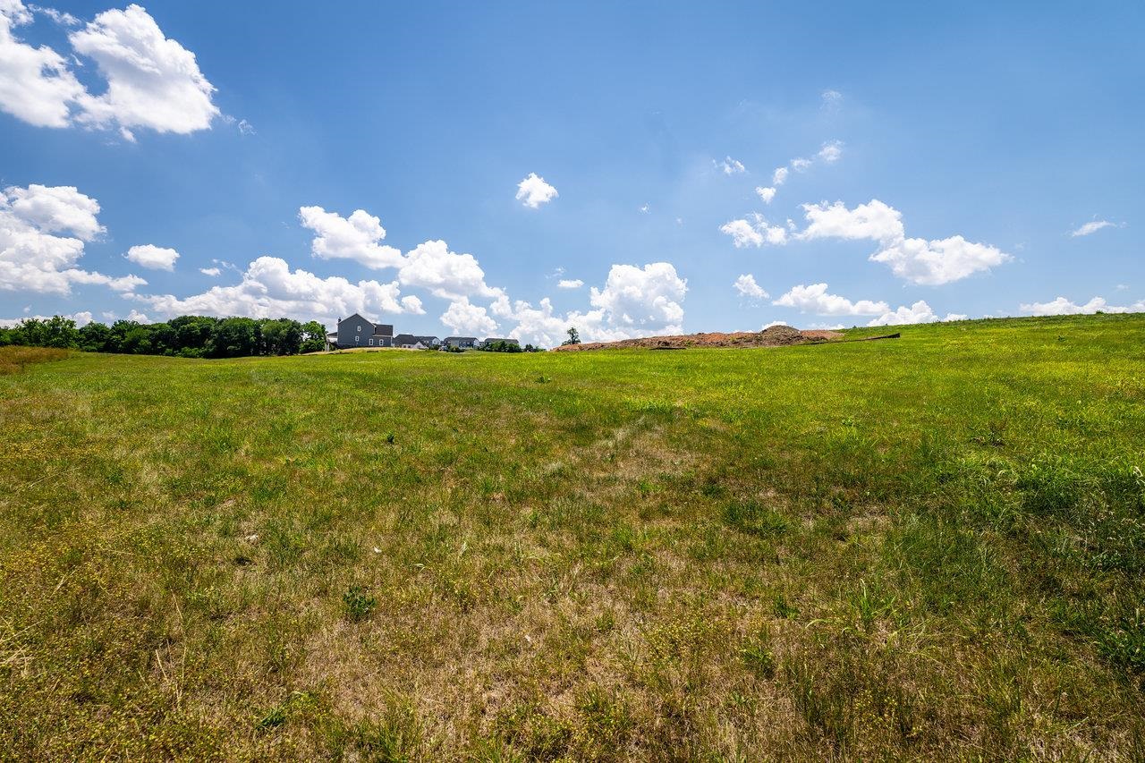 2580 HUNTINGTON SPRINGS DR