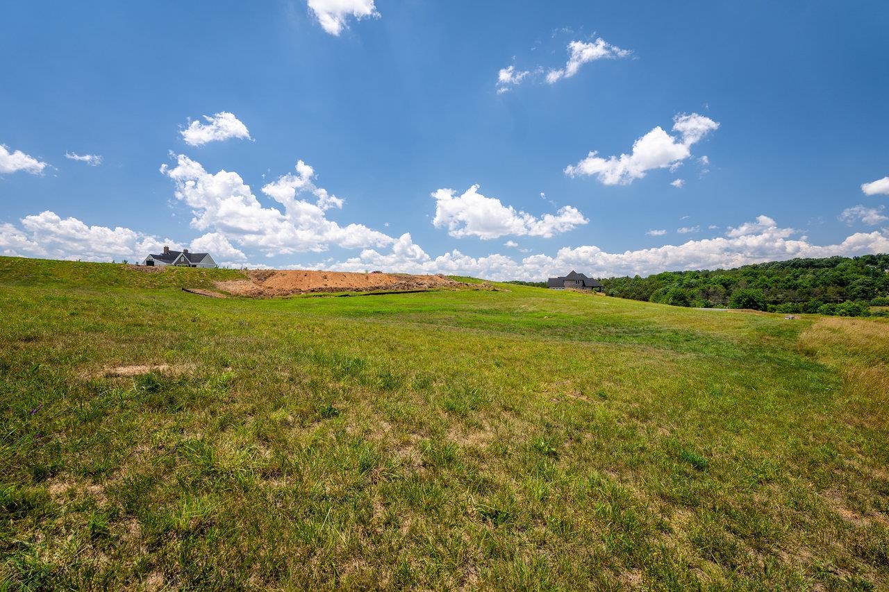 2580 HUNTINGTON SPRINGS DR