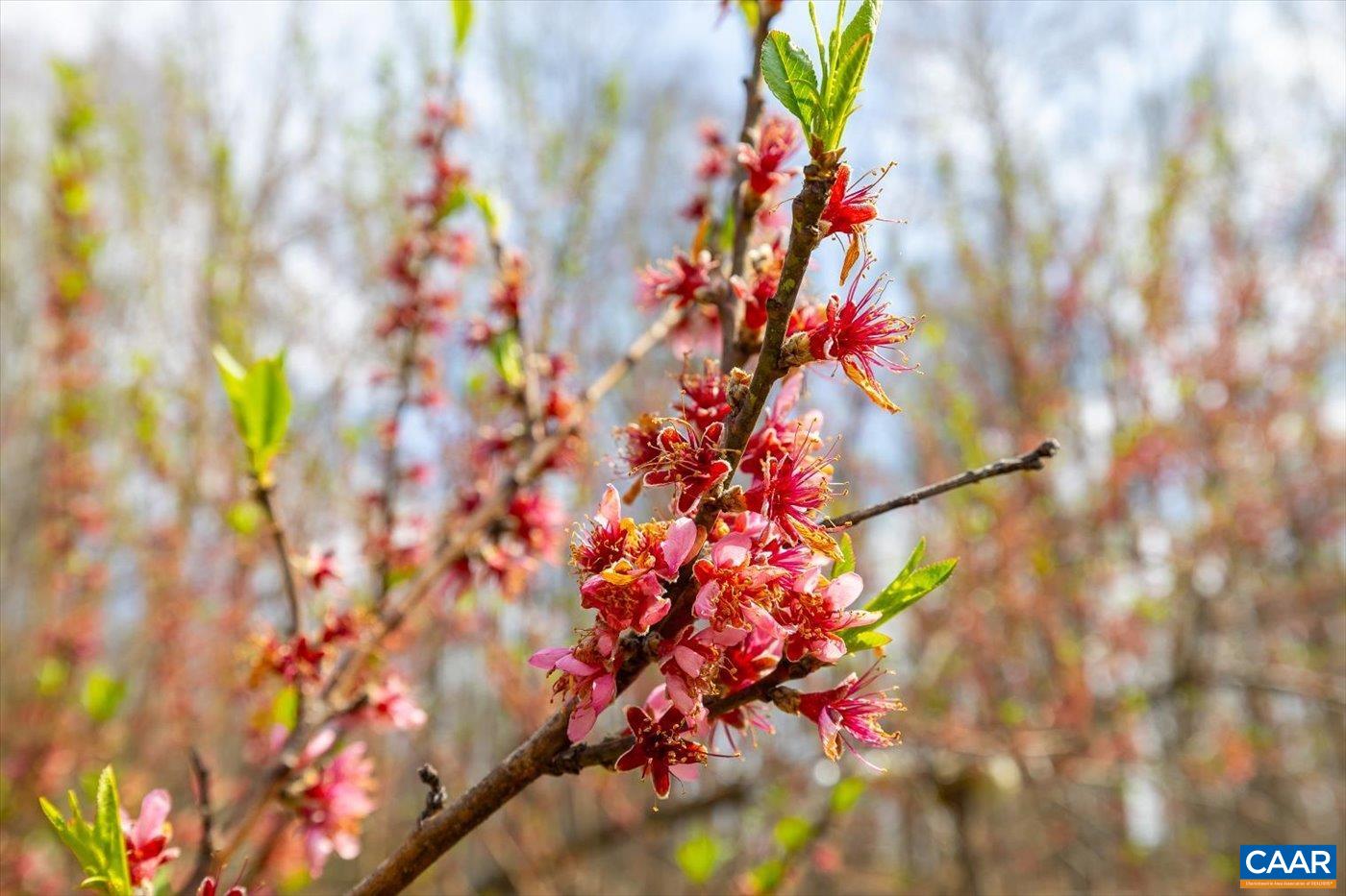 553 HIDDEN VALLEYS RD