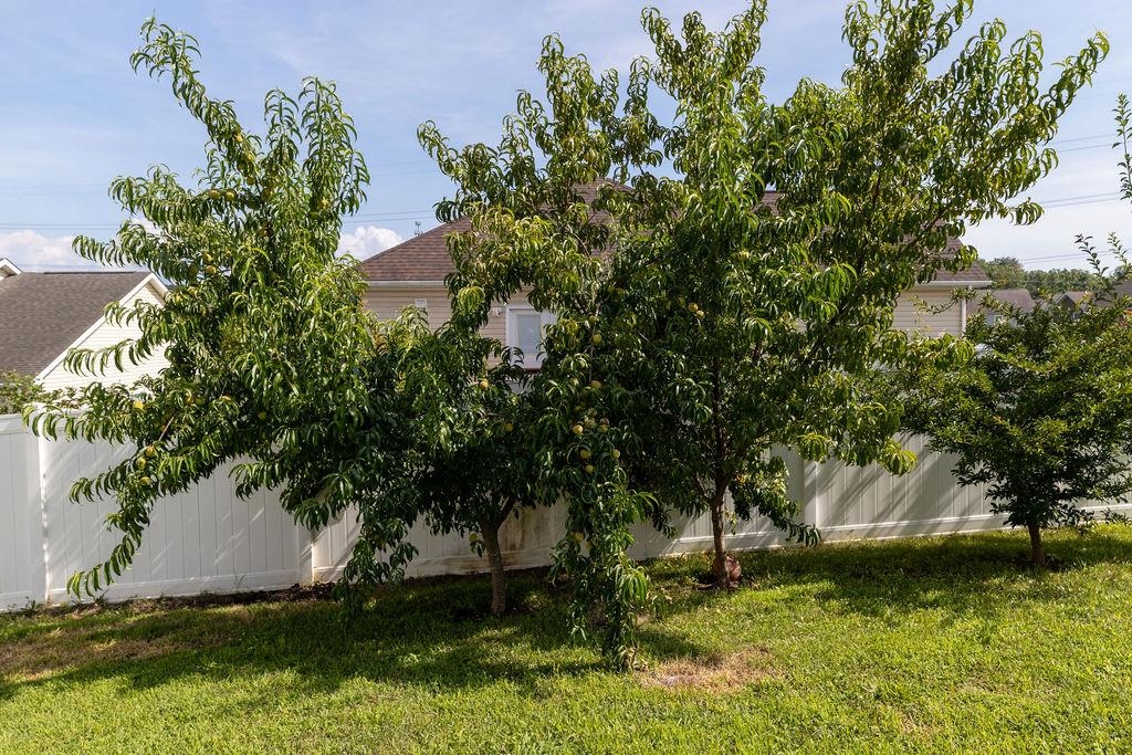 1311 LITTLE SORREL DR