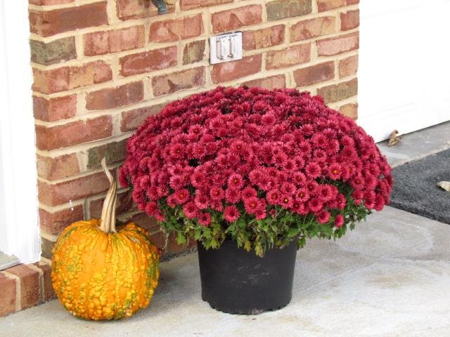 2976 CRYSTAL SPRING LN