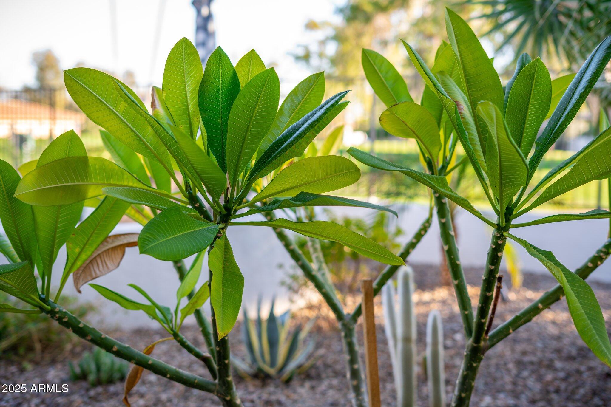 8327 E SUNNYSIDE Drive