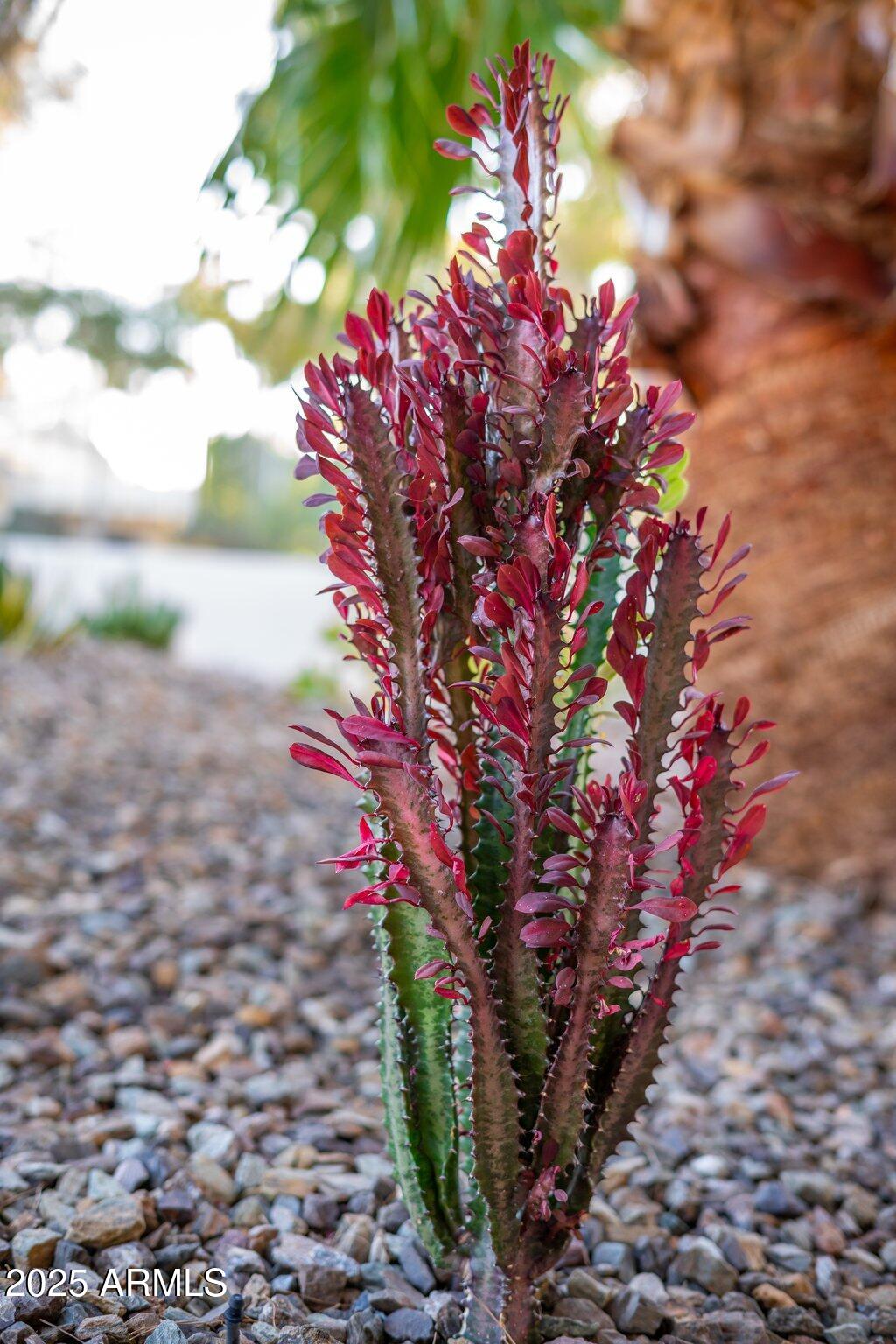 8327 E SUNNYSIDE Drive