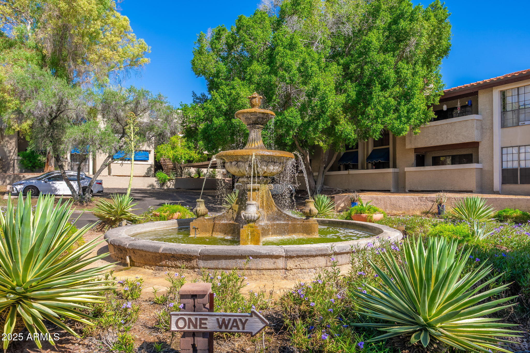 7557 N DREAMY DRAW Drive 219