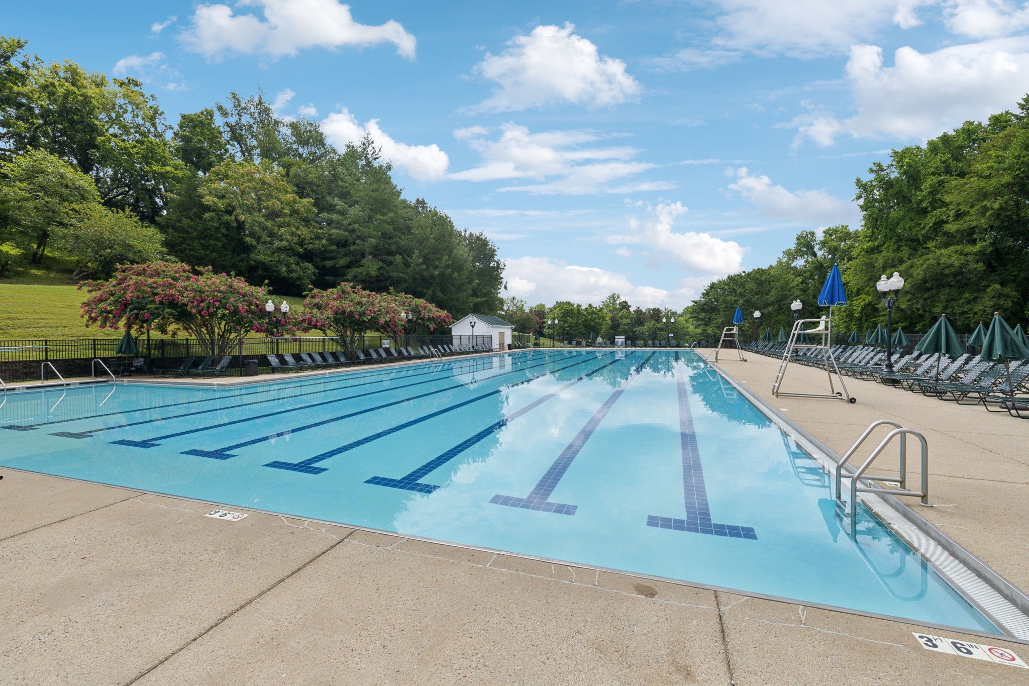 1253 Park Run Dr