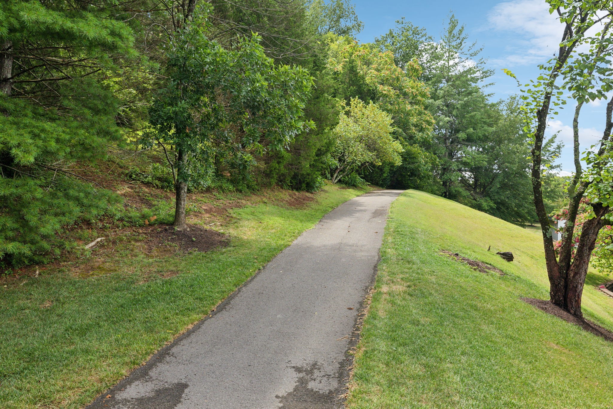 1253 Park Run Dr