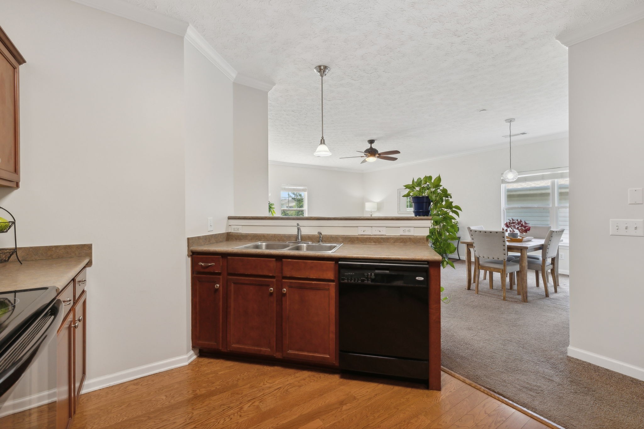 1253 Park Run Dr