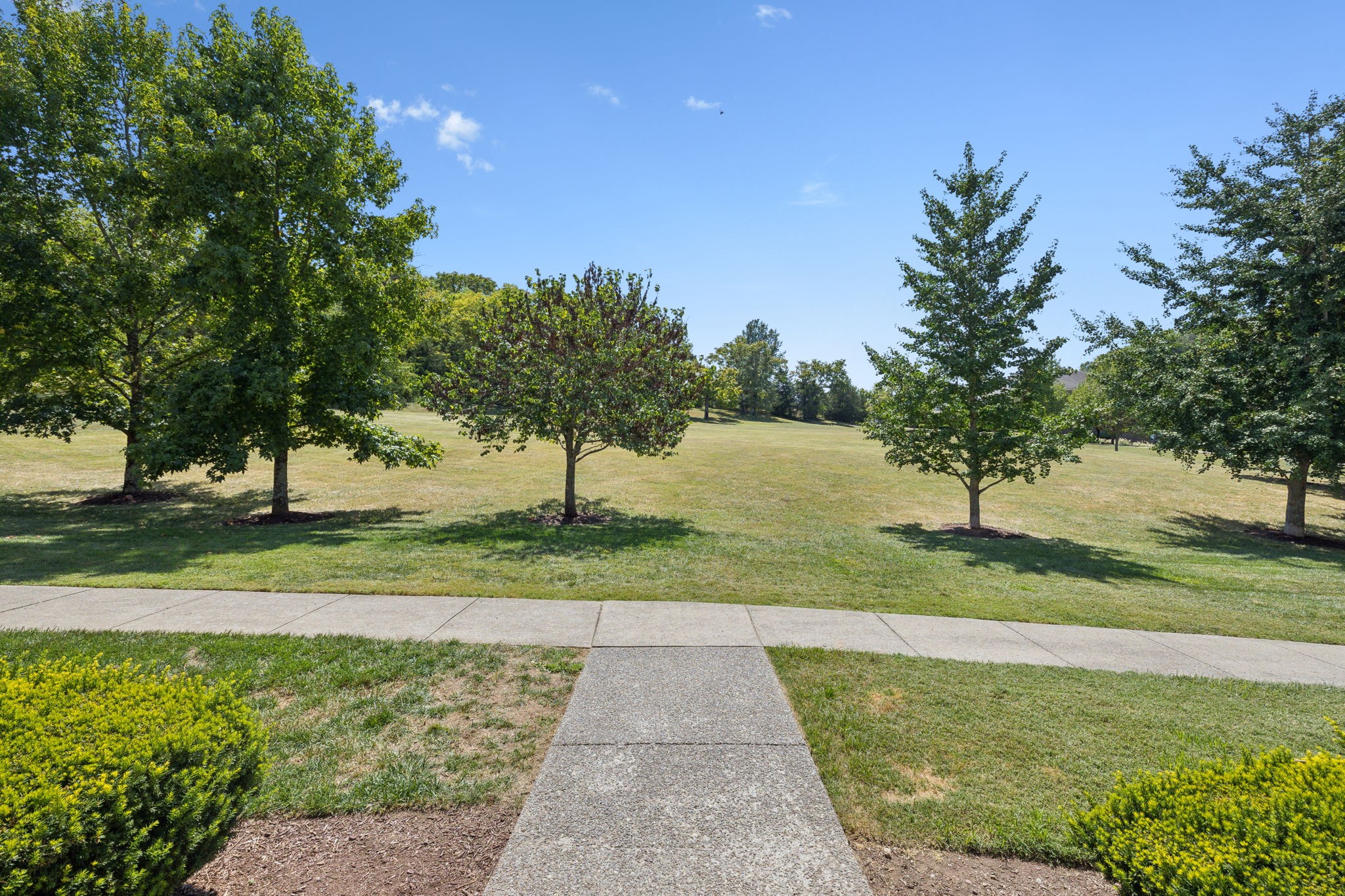 1253 Park Run Dr