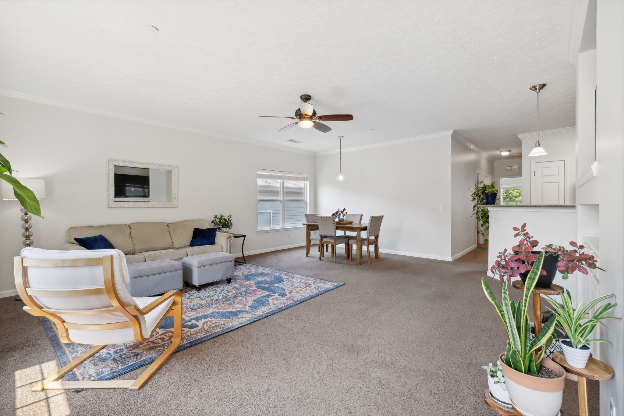 1253 Park Run Dr