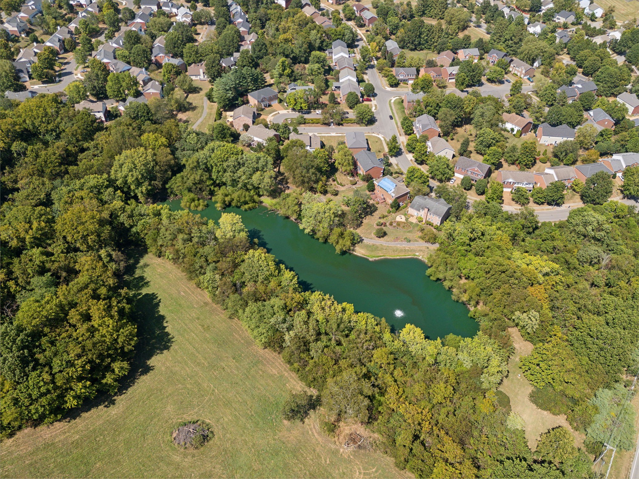 1253 Park Run Dr