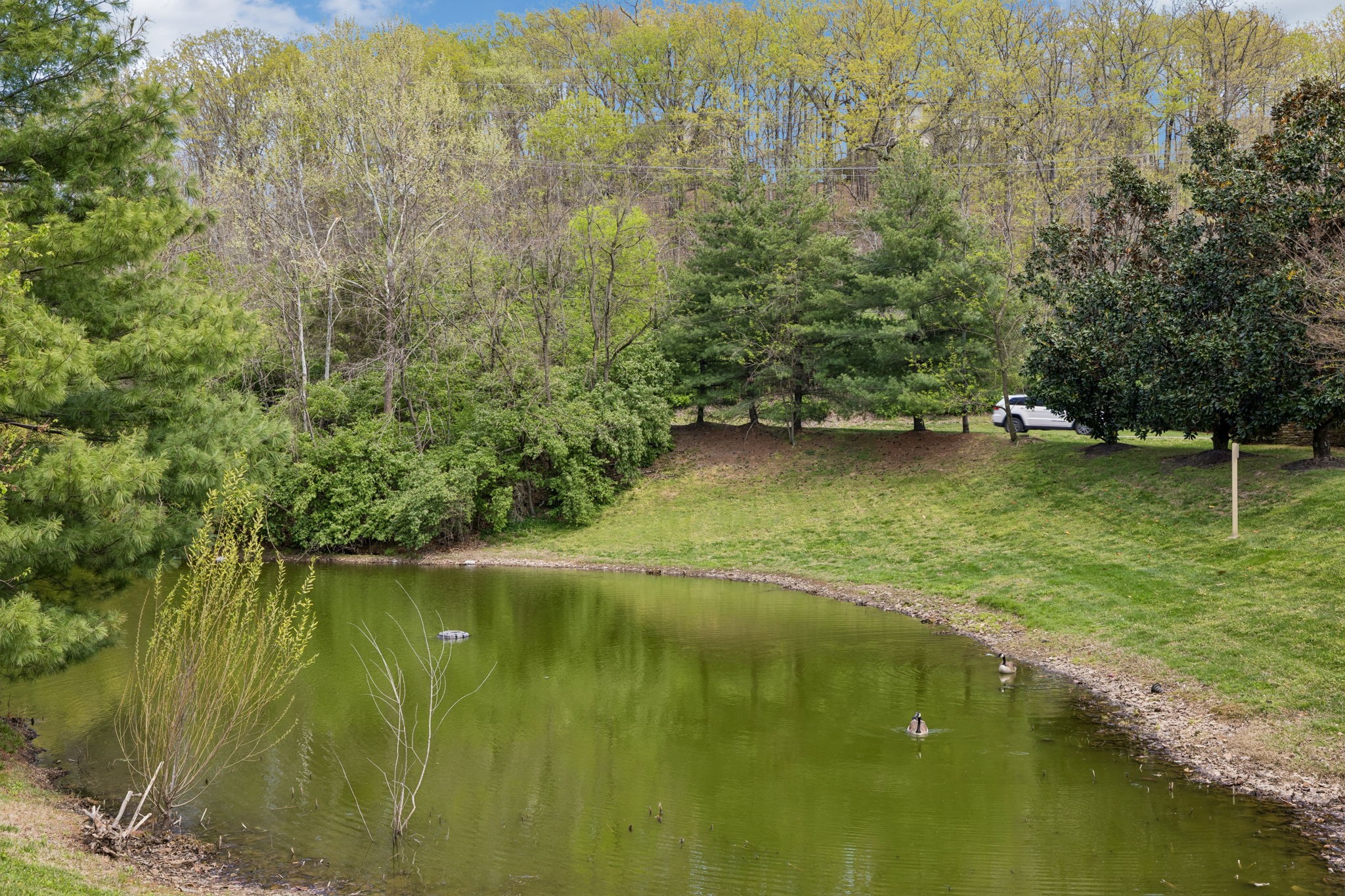 1040 Woodbury Falls Dr