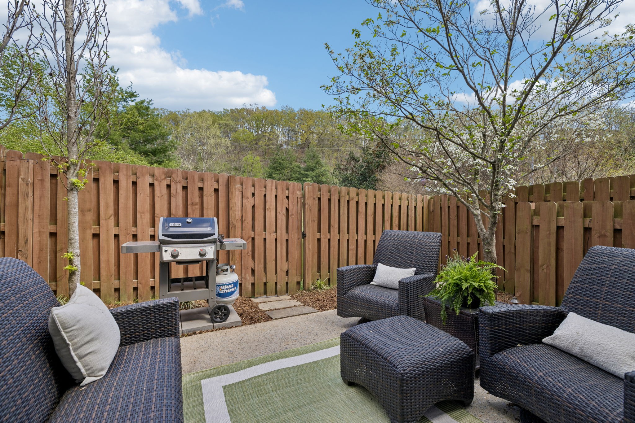 1040 Woodbury Falls Dr