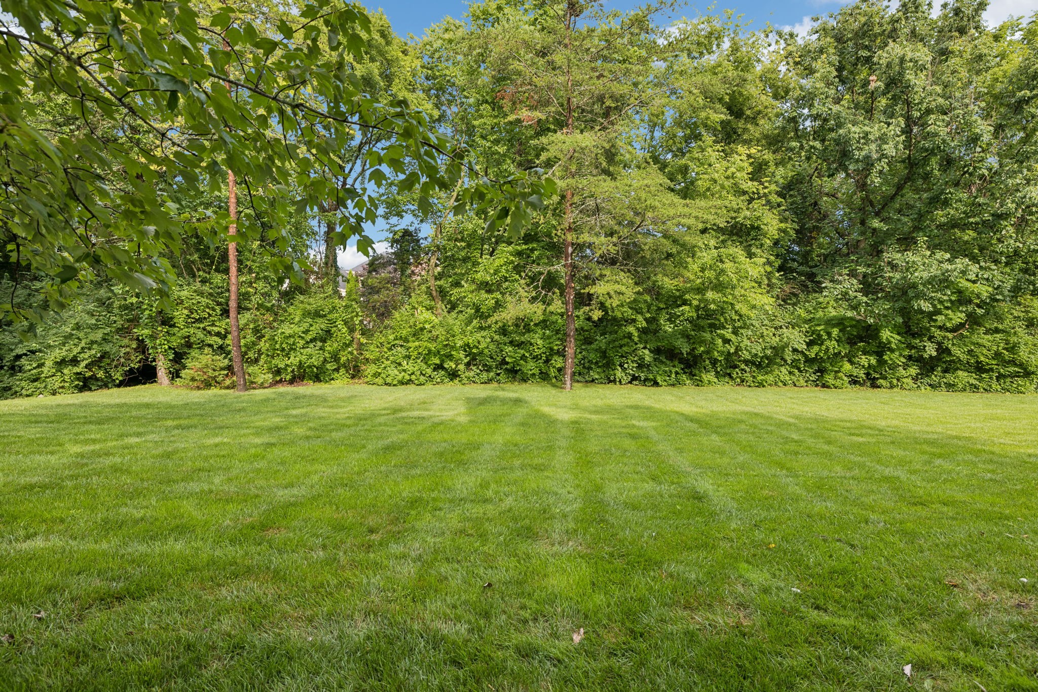 5213 Colfax Ct