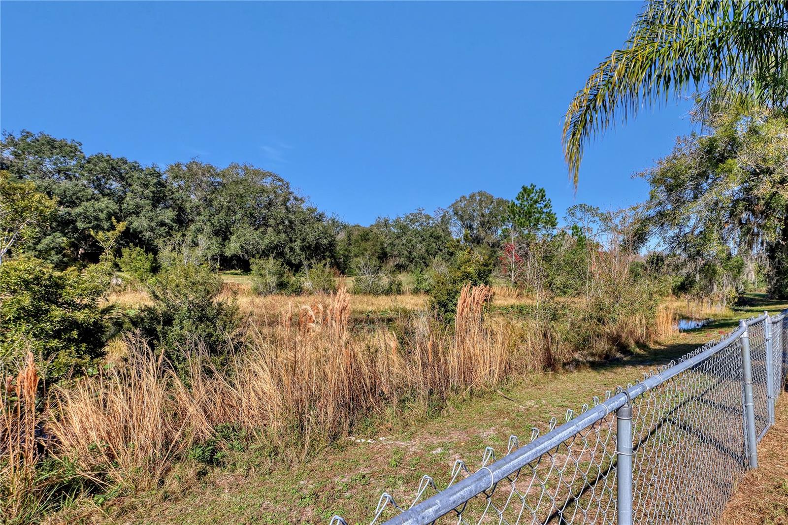 12838 NEW YORK WOODS CIR