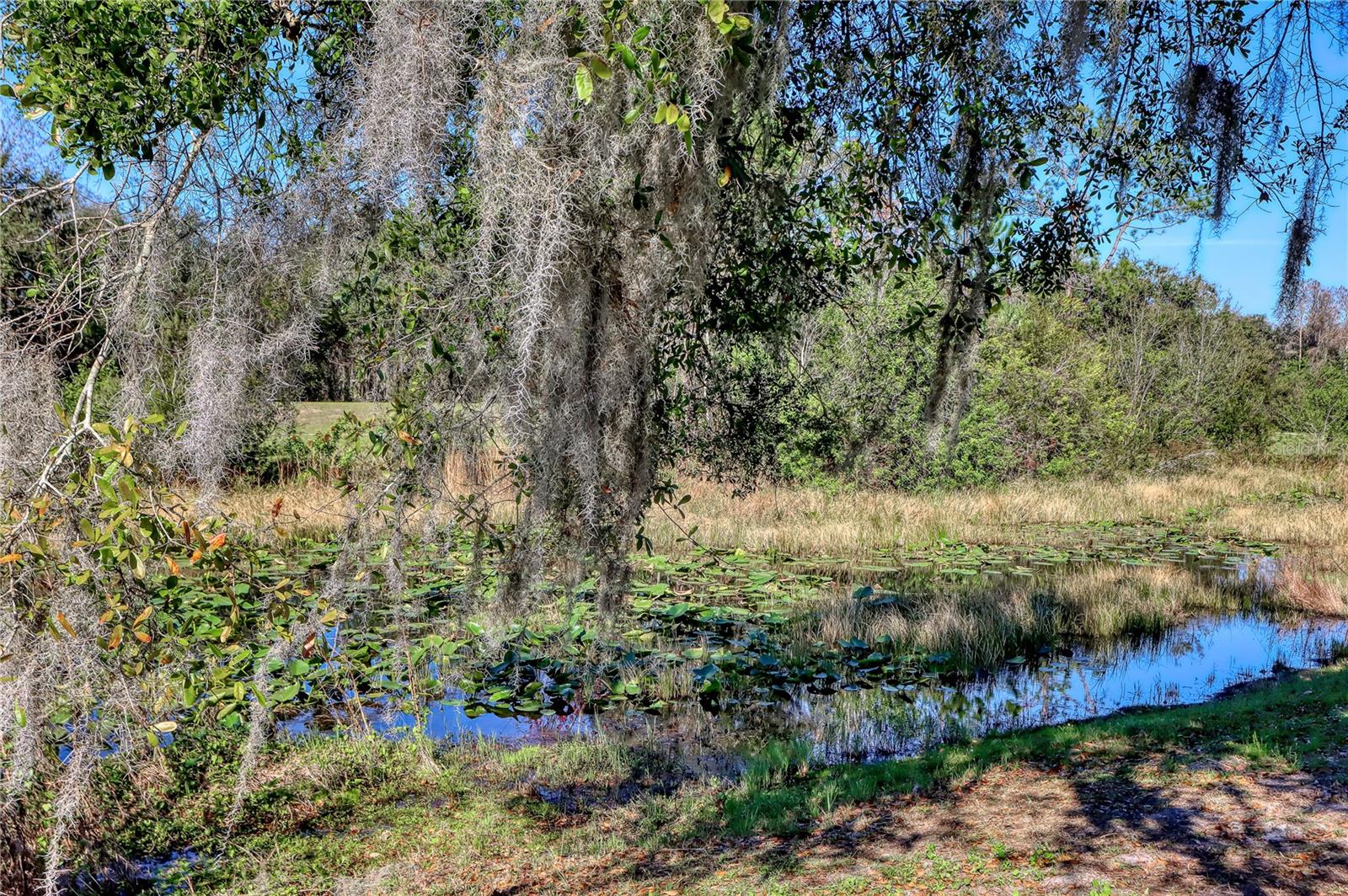 12838 NEW YORK WOODS CIR