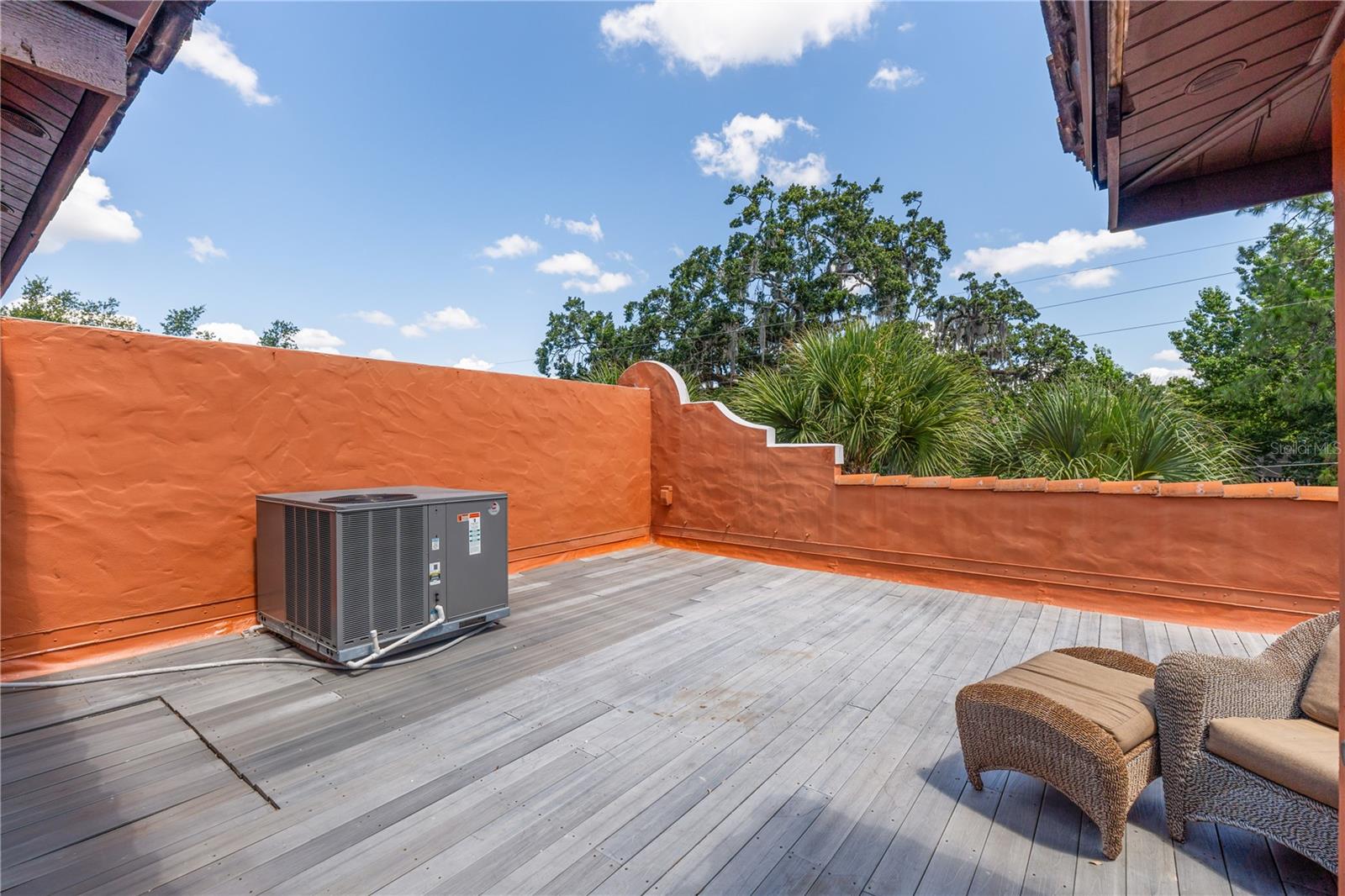 602 E LIVINGSTON ST #3