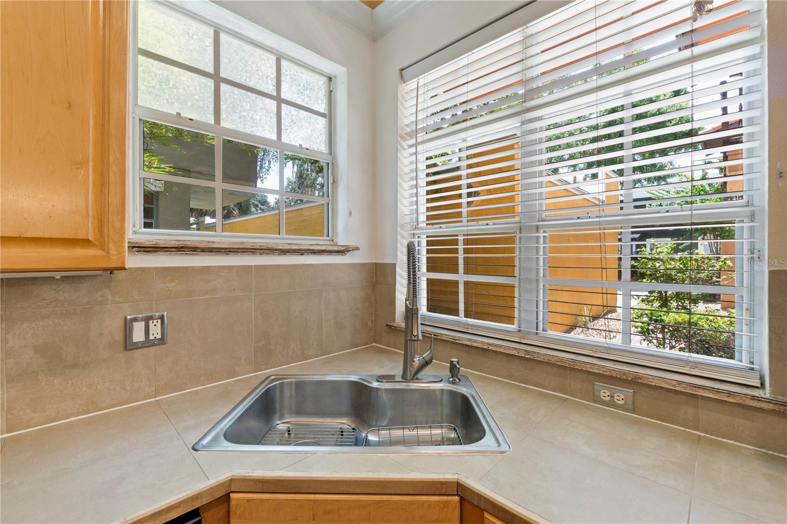 602 E LIVINGSTON ST #3