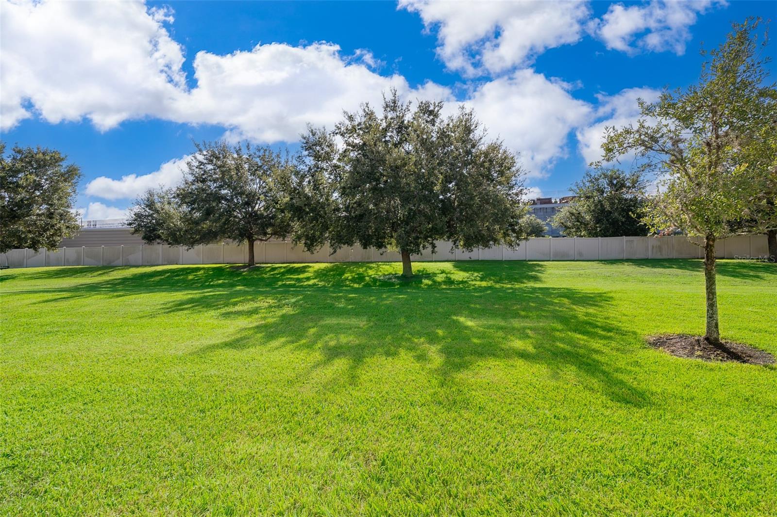 10955 SAVANNAH LANDING CIR