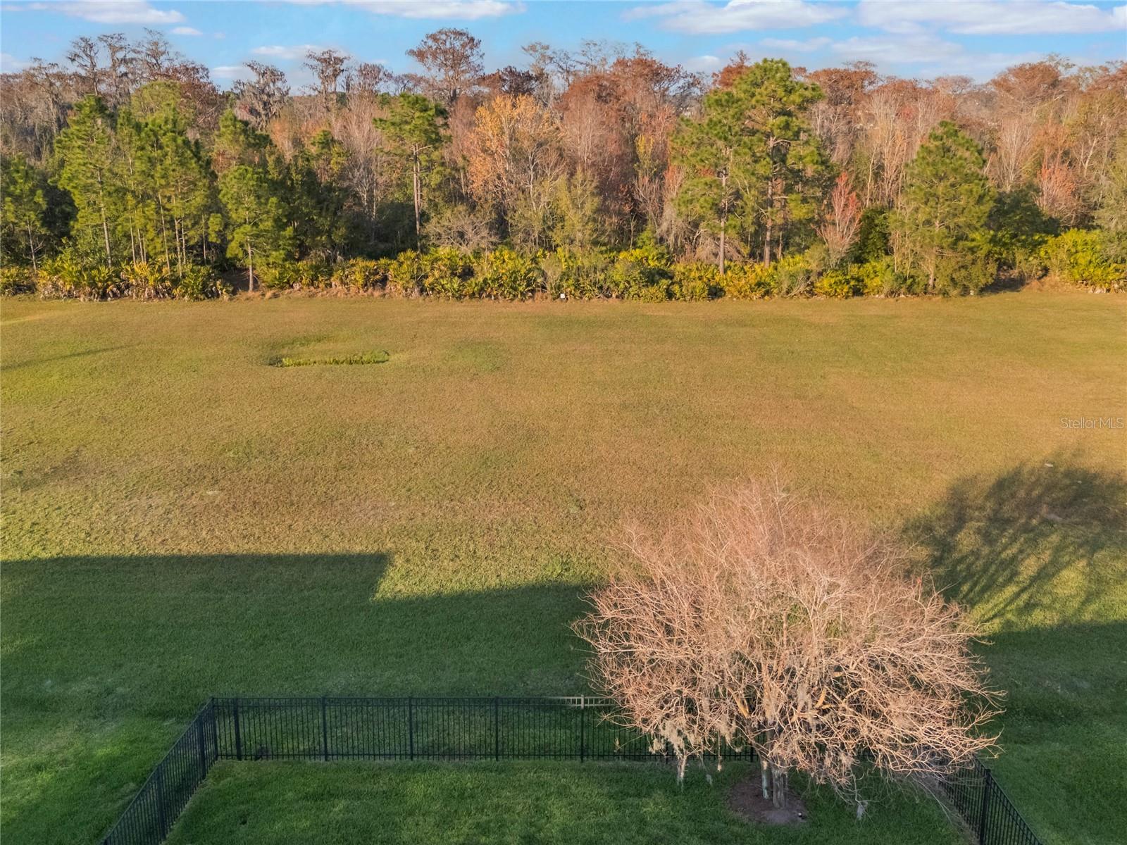 1947 PLANTATION OAK DR