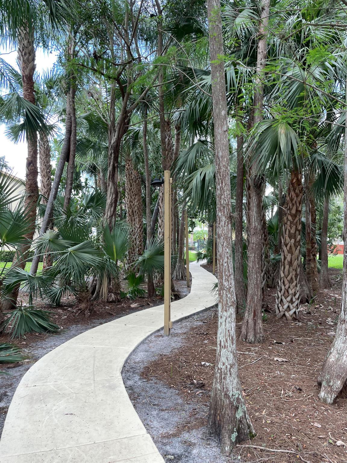 13017 Northshire Trail 1