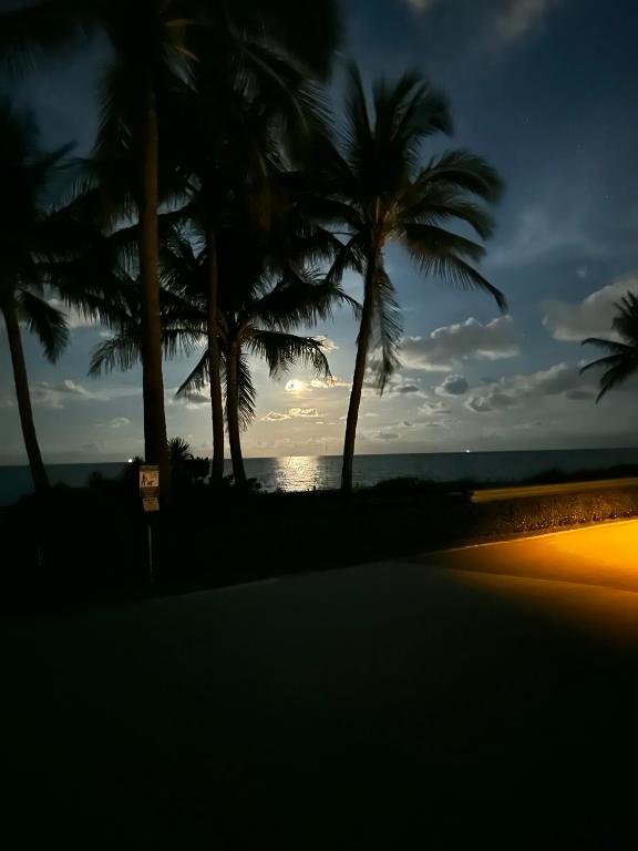 200 N Ocean Boulevard 1