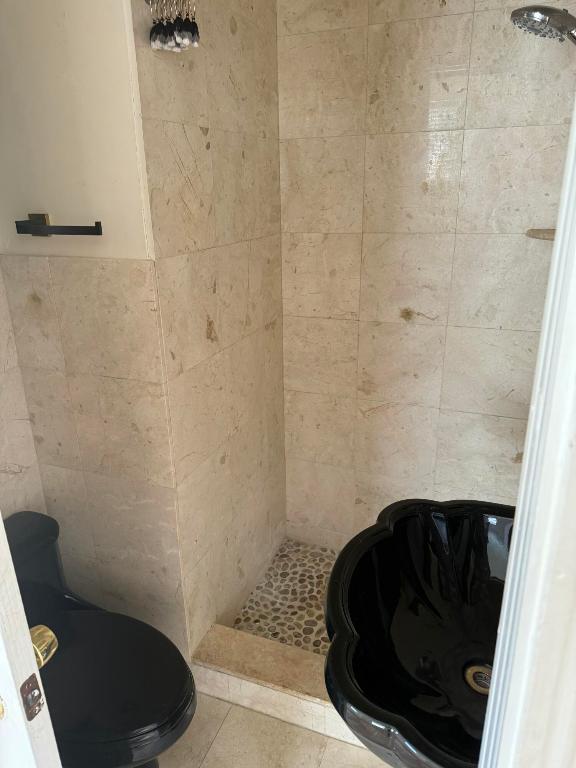 258 Seminole Avenue 4