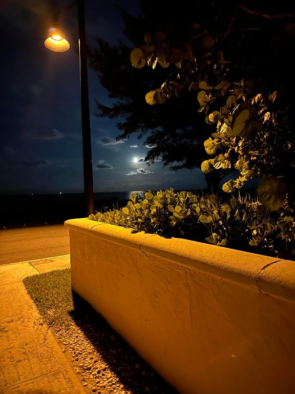 258 Seminole Avenue 4