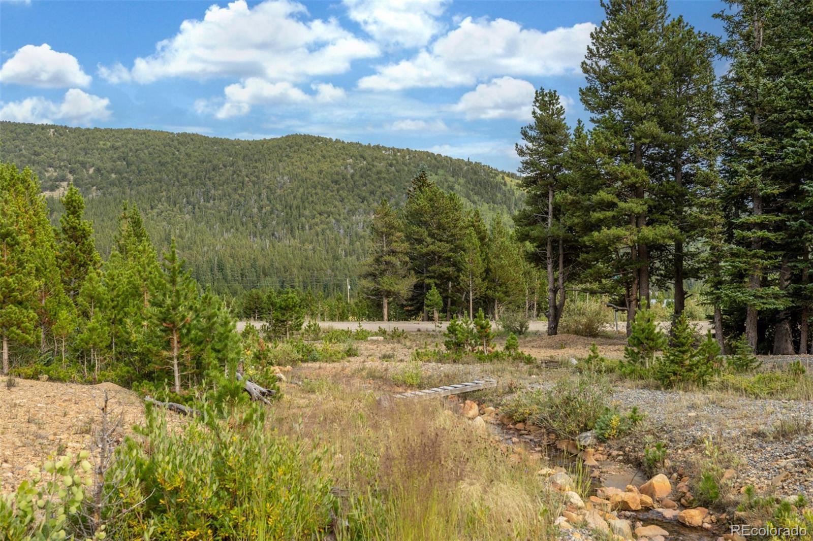 Beaver Road