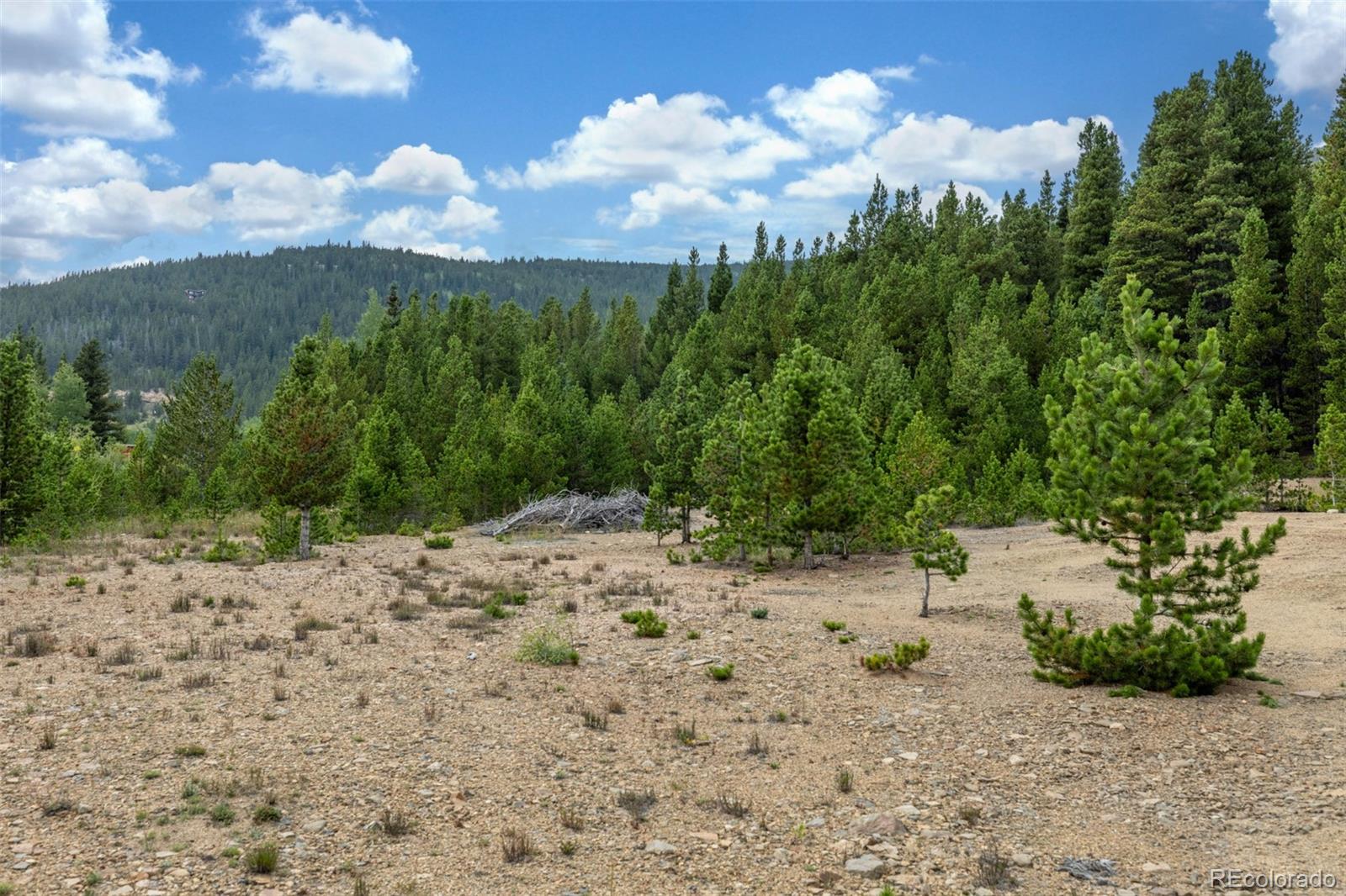 Beaver Road