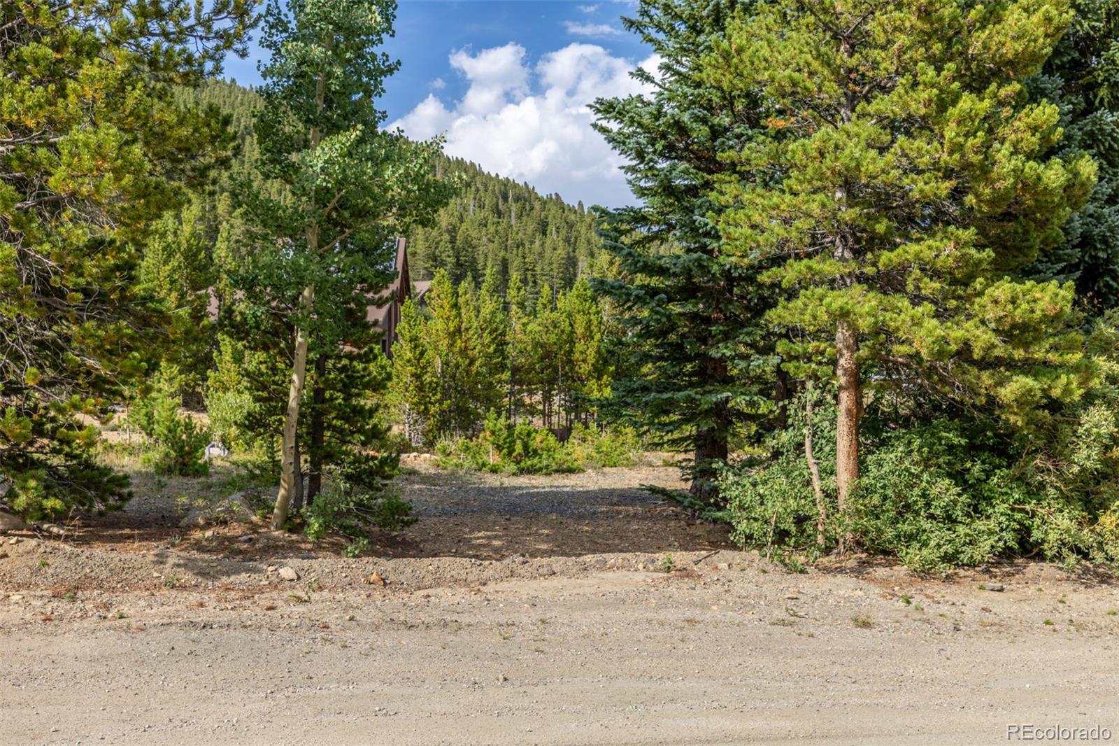 Beaver Road
