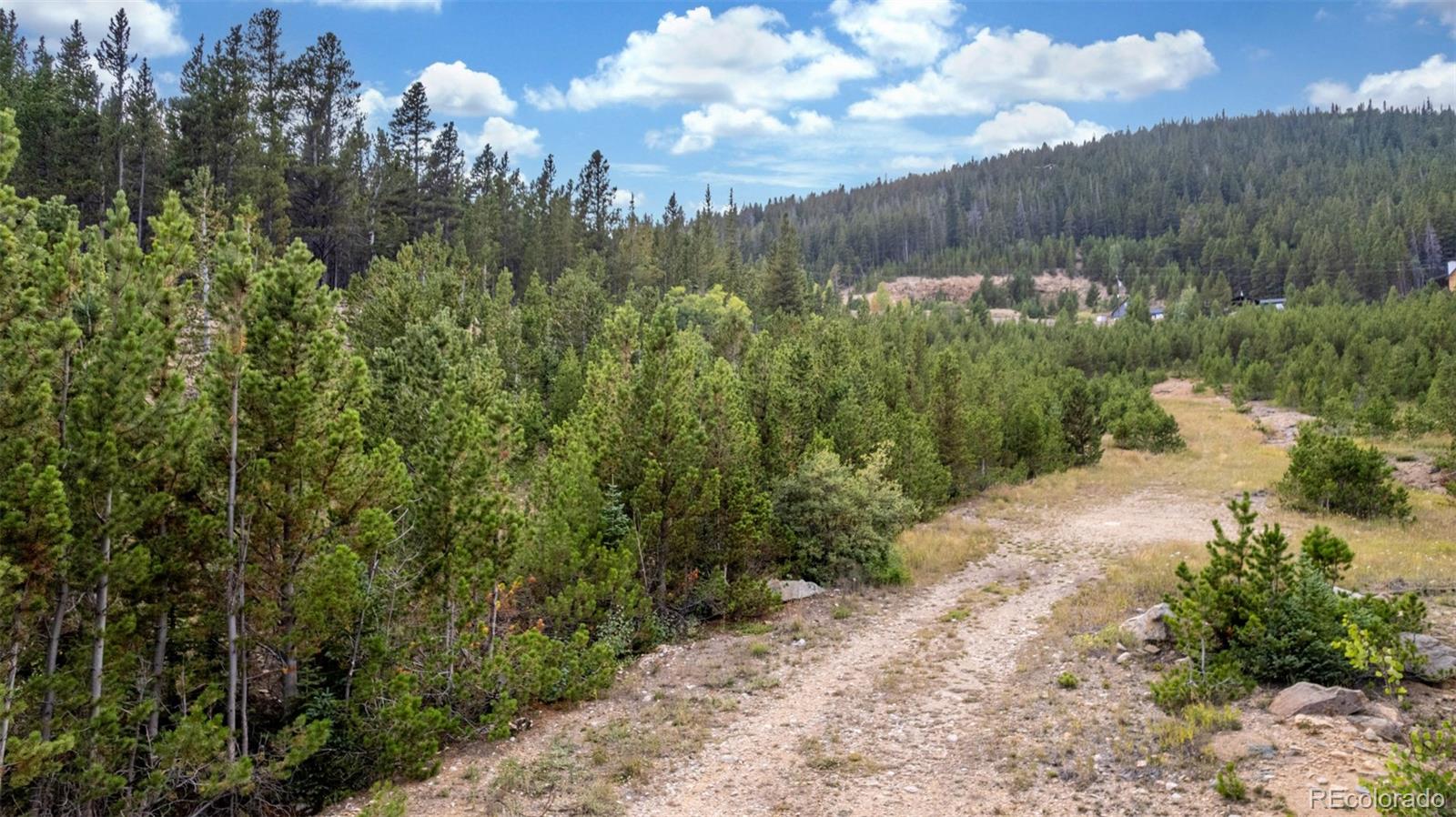 Beaver Road