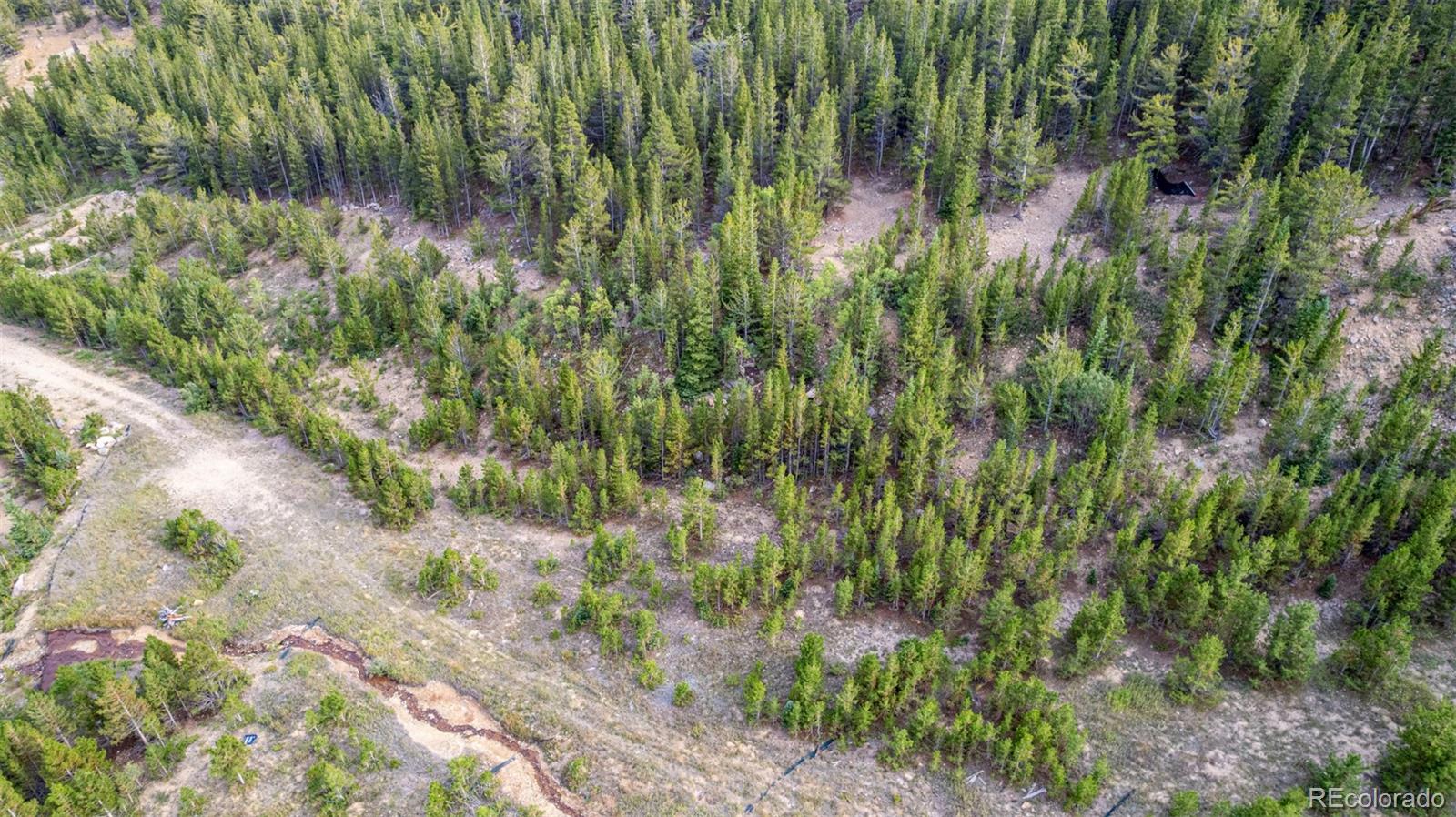 Beaver Road
