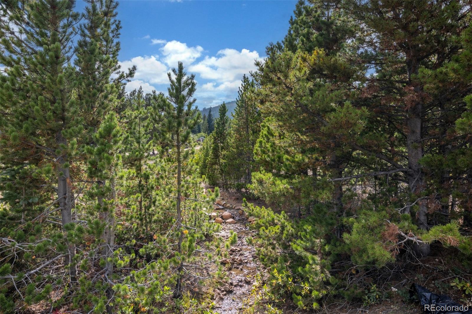 Beaver Road