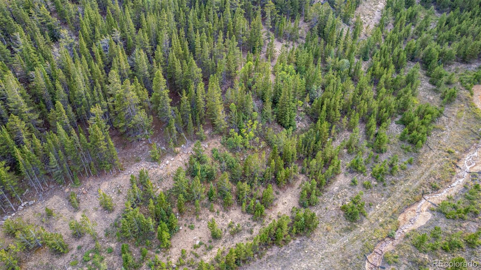 Beaver Road