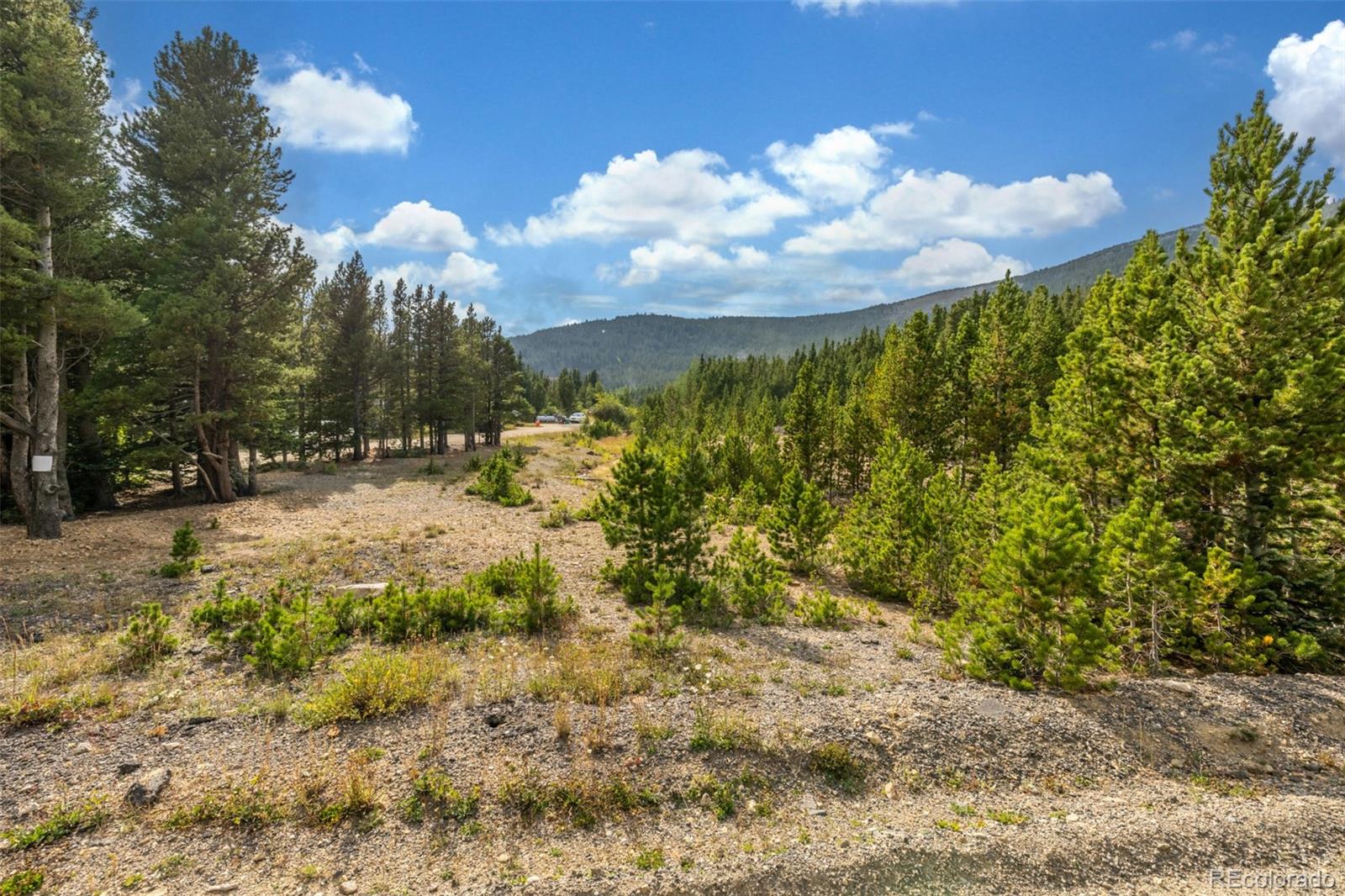 Beaver Road