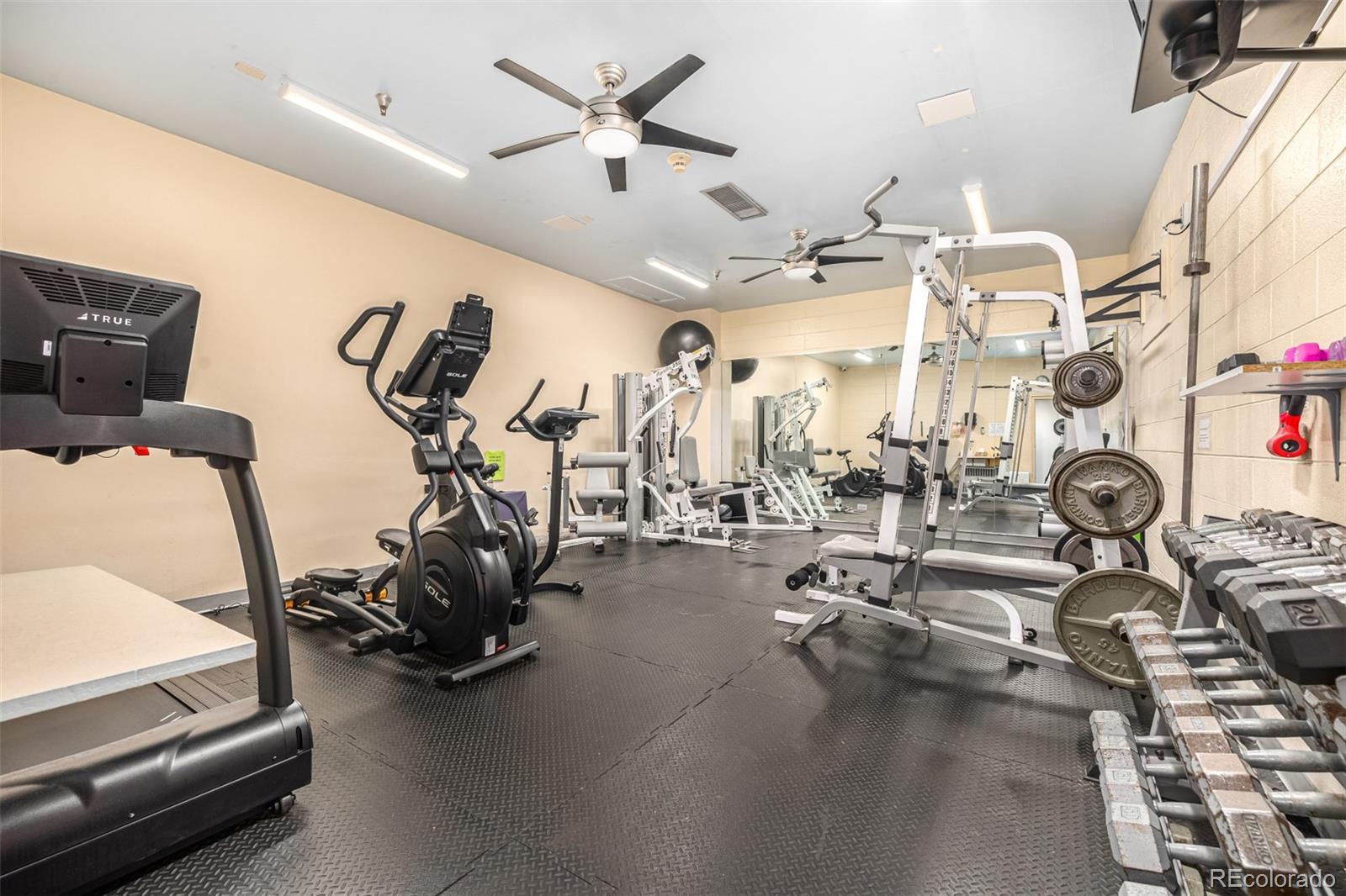555 E 10th Avenue Unit: 10