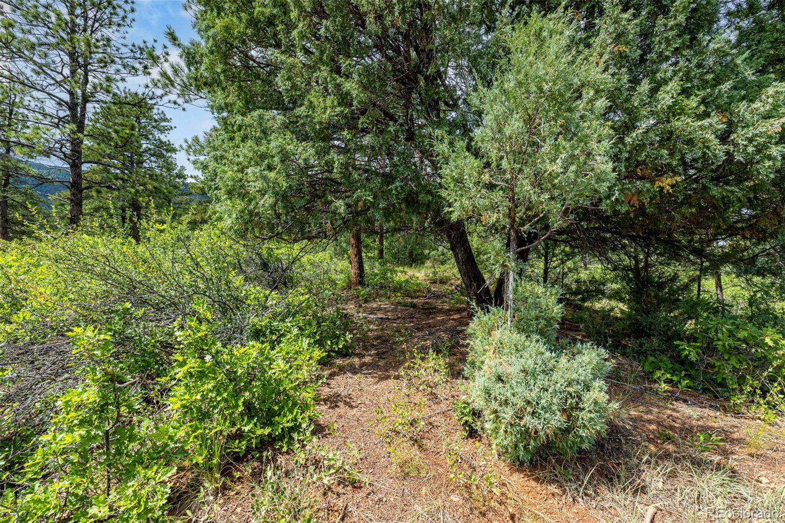 8160 Bannock Drive