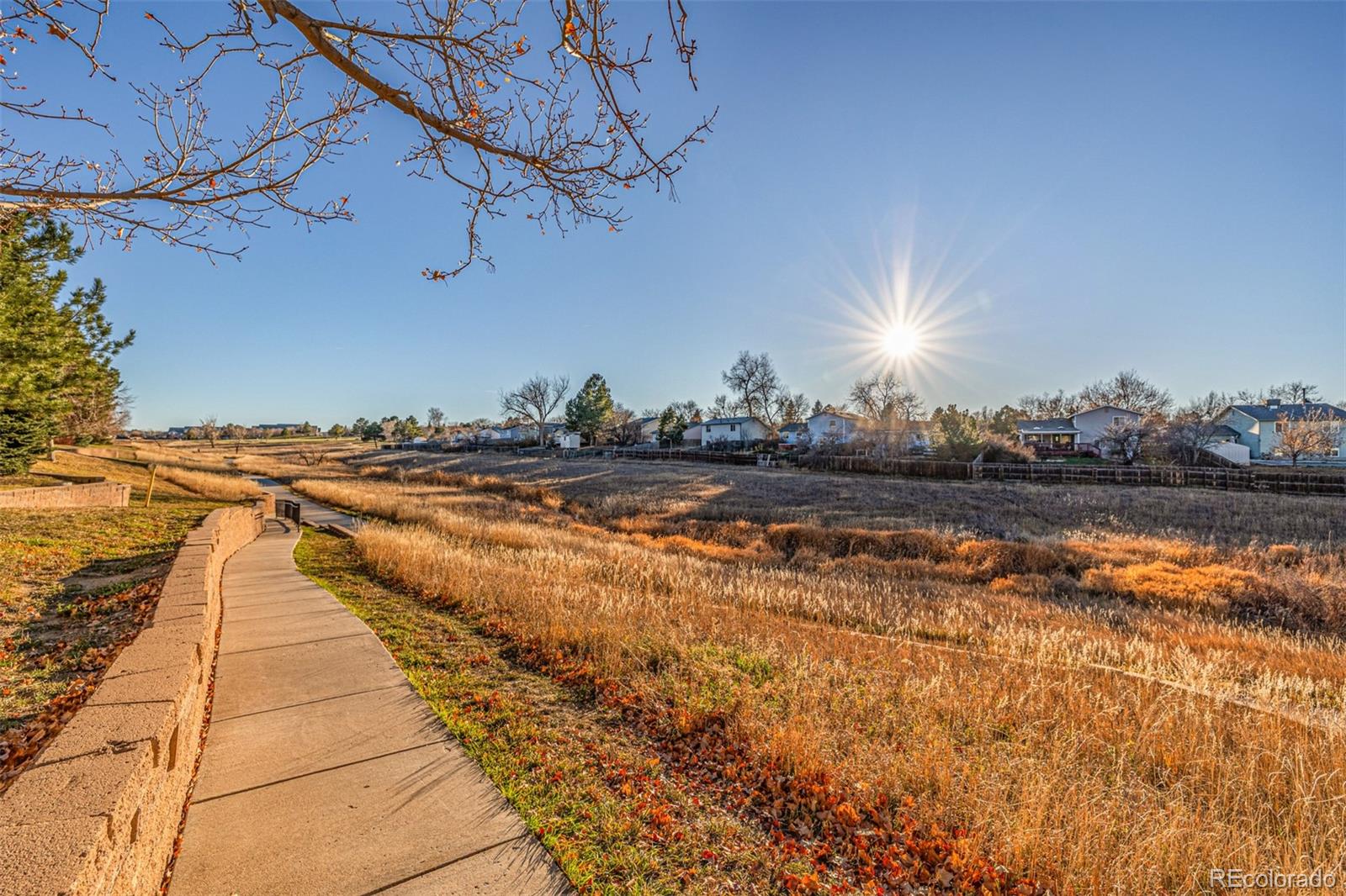 1342 S Cathay Court Unit: 104