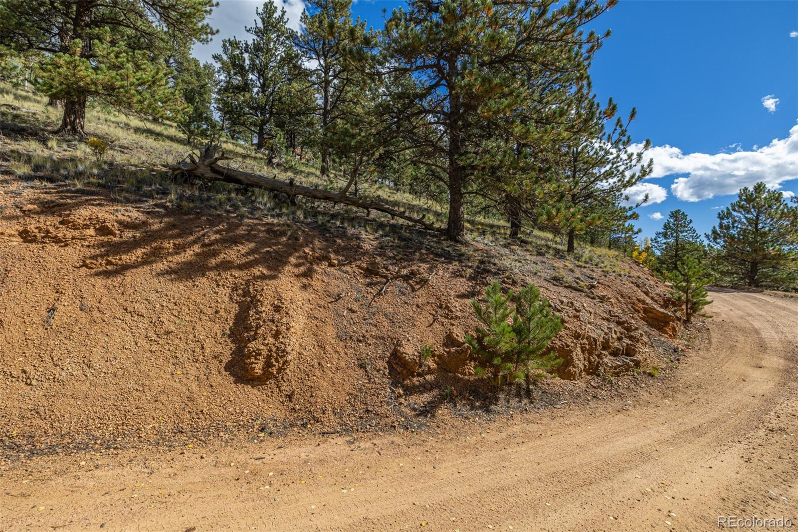 103 Gross Road
