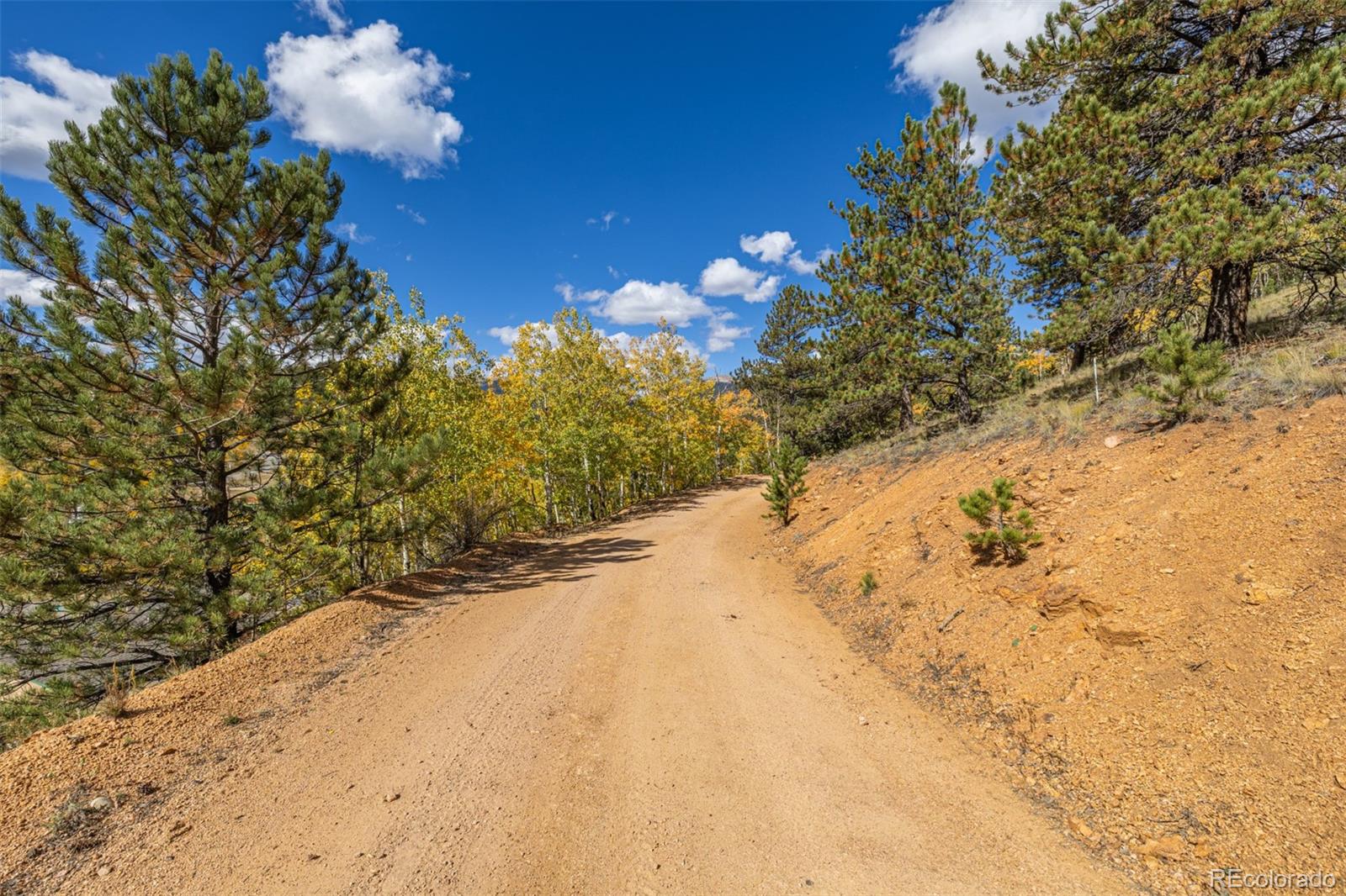 103 Gross Road