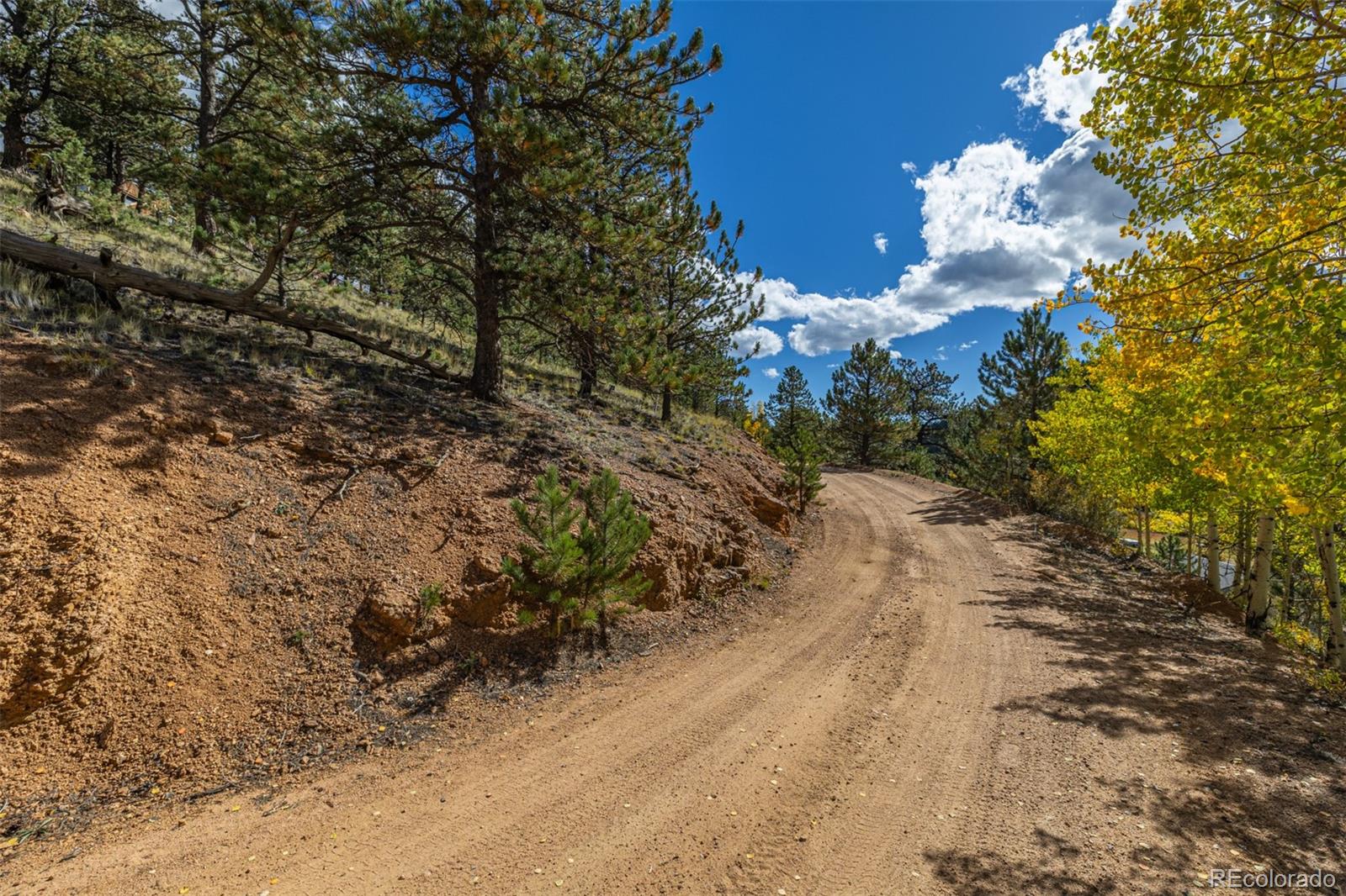 103 Gross Road