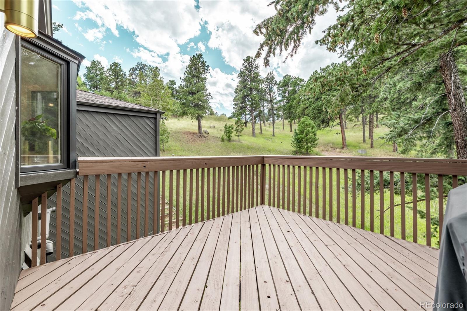 1139 Genesee Vista Road