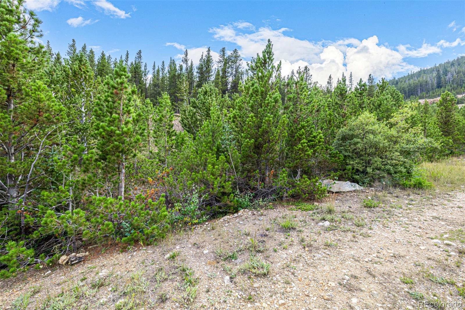 Aspen Road
