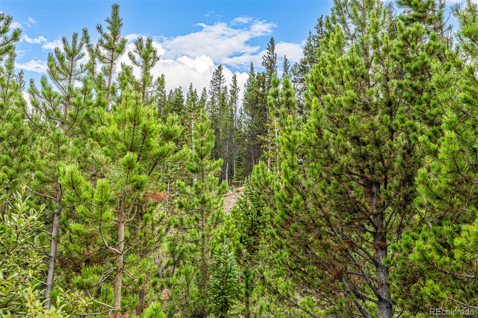 Aspen Road