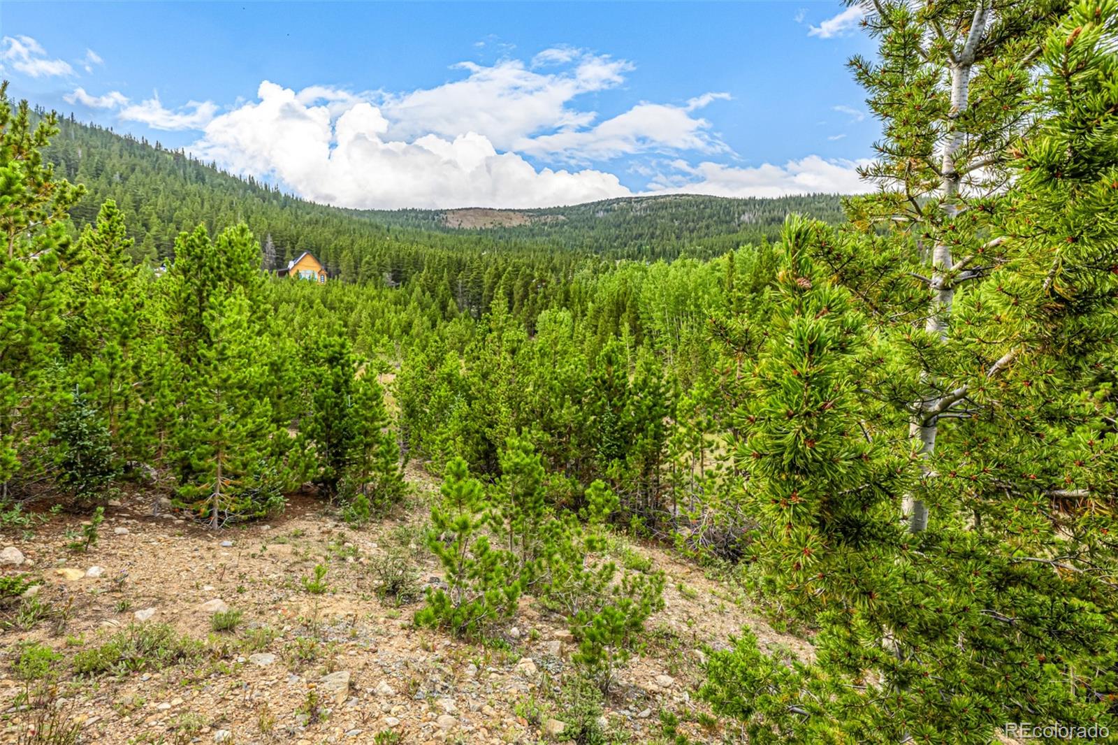 Aspen Road