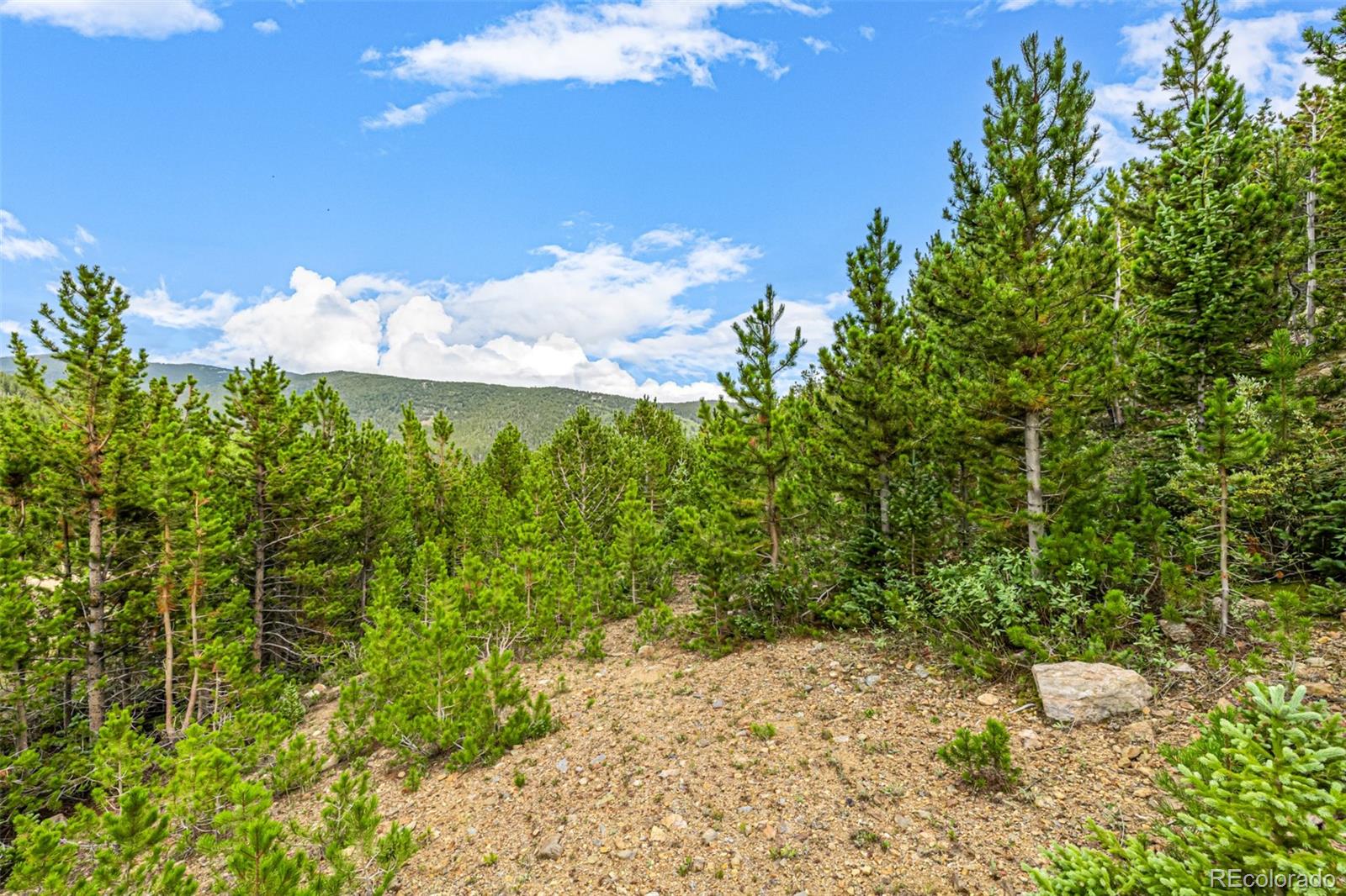Aspen Road
