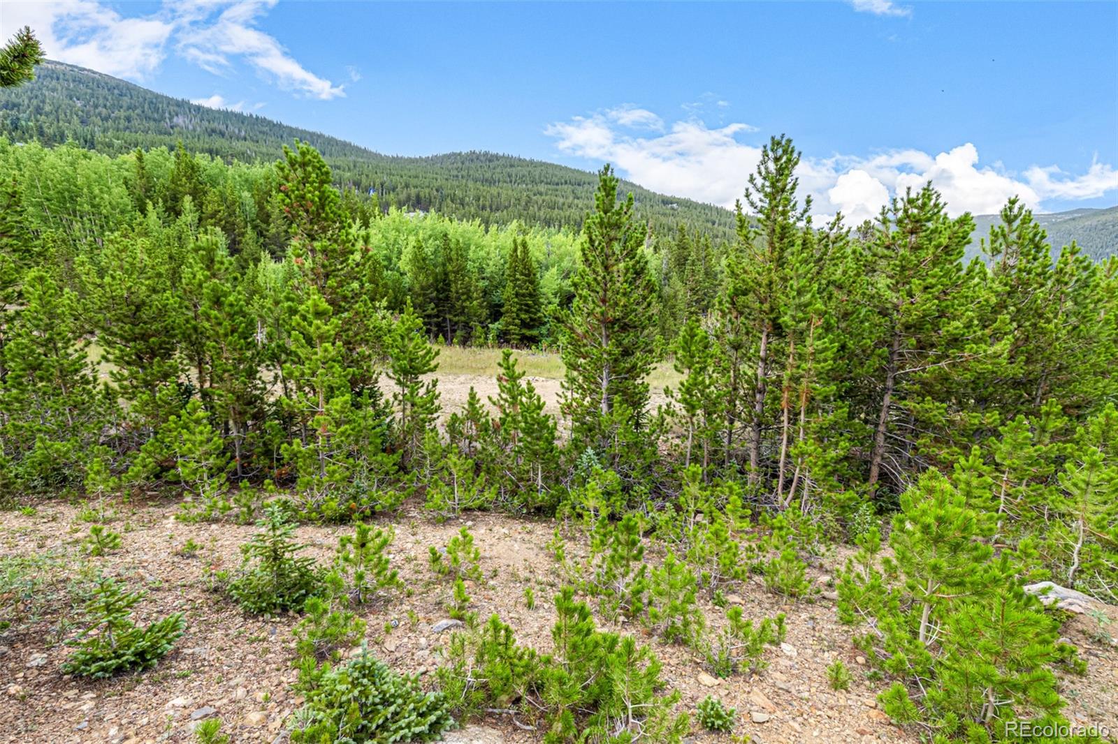 Aspen Road