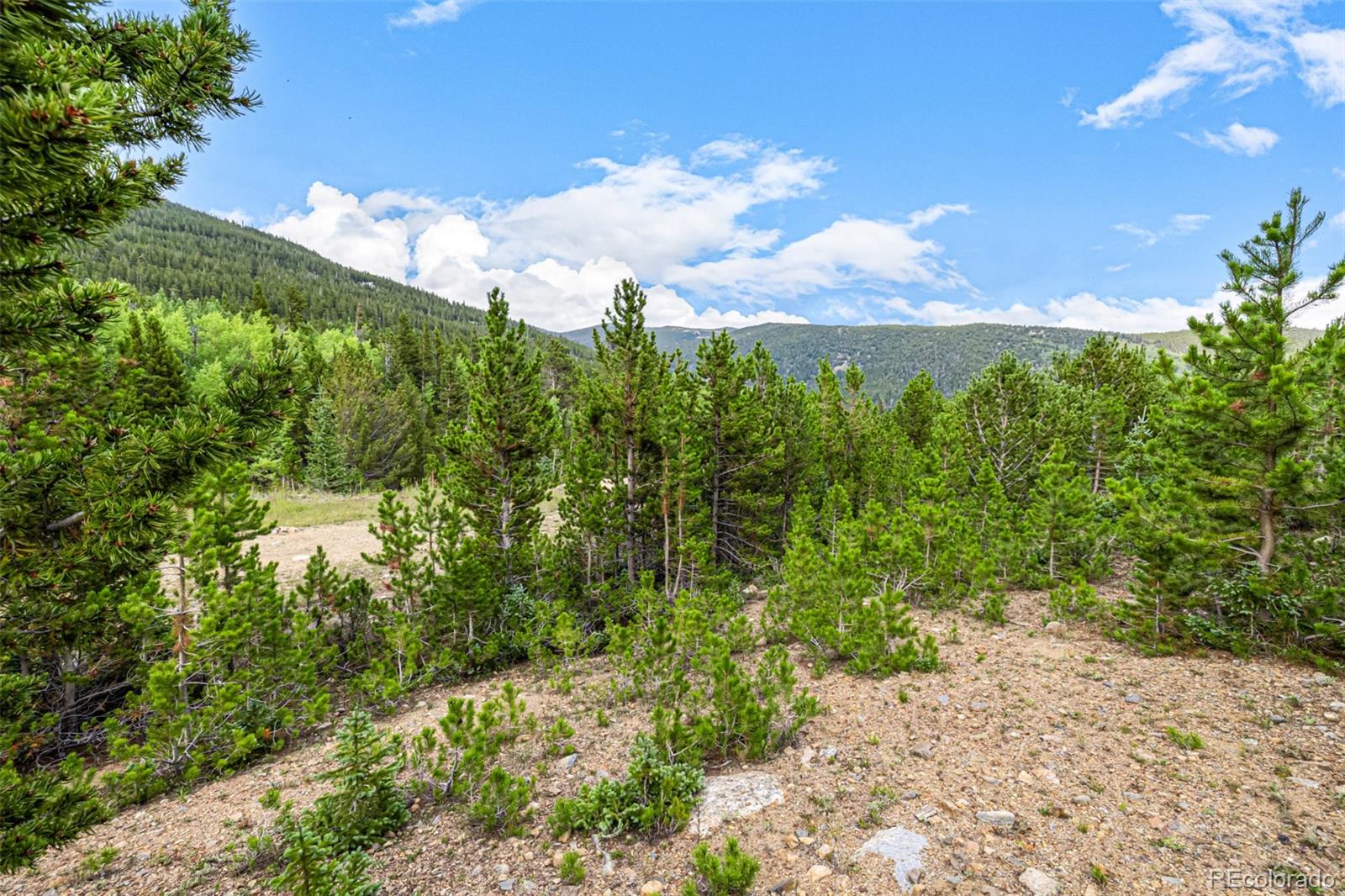 Aspen Road